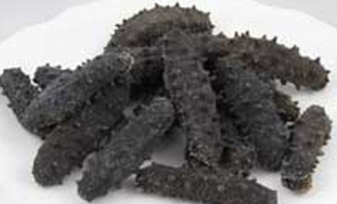 Dried Sea Cucumber